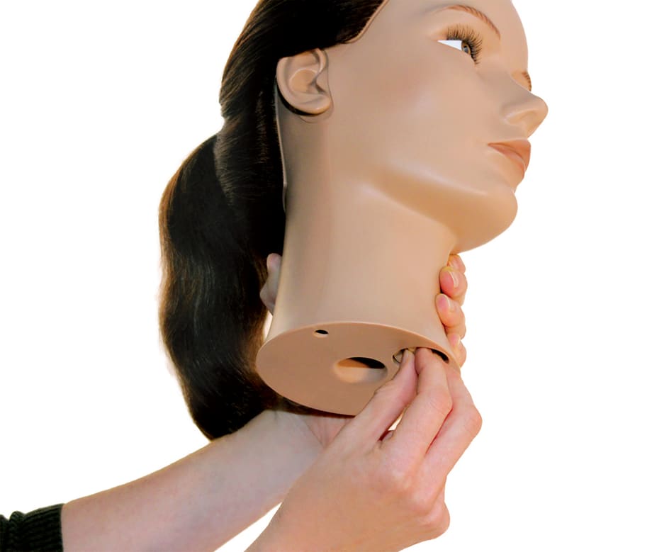 The Future of Hair Mannequins? Find out What's Next for Hairdressers