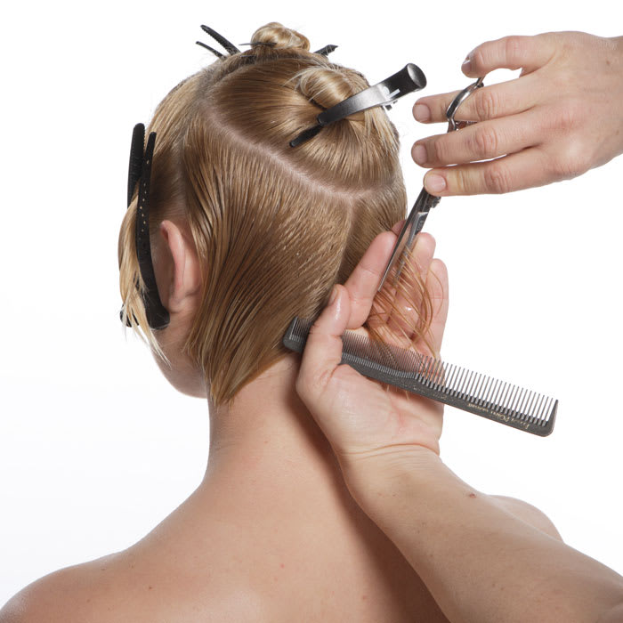 Paradigm: Cutting Class