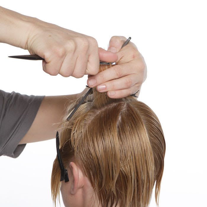 Paradigm: Cutting Class