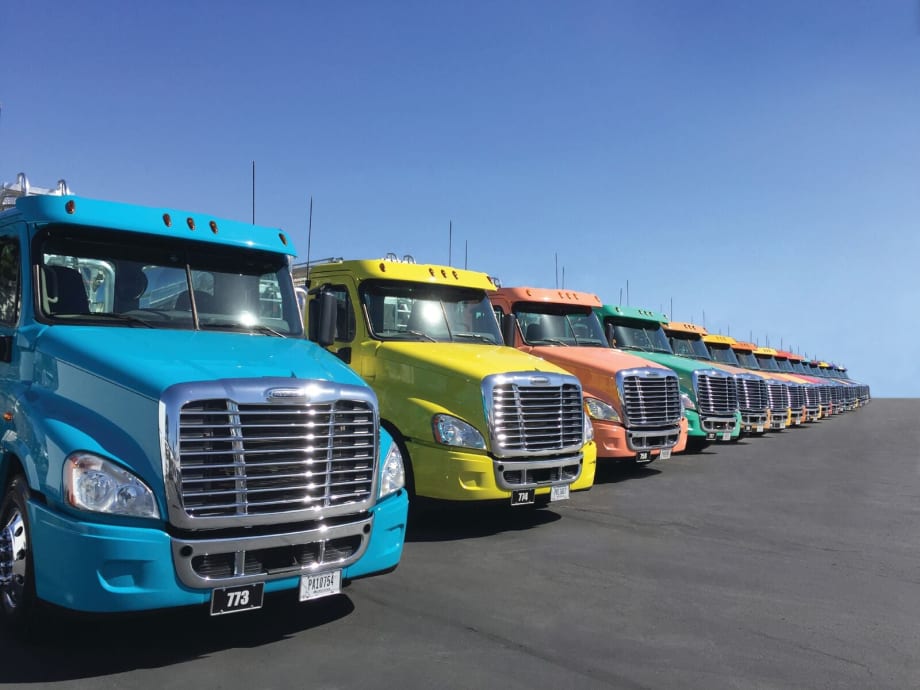 Can a Fleet of Many Colors Help Recruit and Retain Drivers?