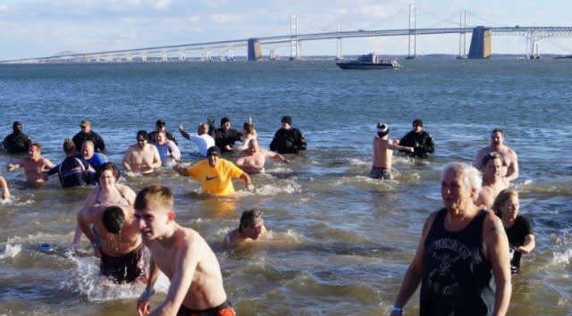 Stertil-Koni Employees to Take 'The Plunge'