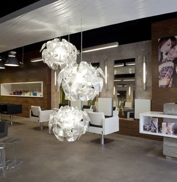 2011 NAHA Finalists - Salon Design