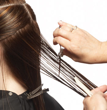 Shade and Design Cut