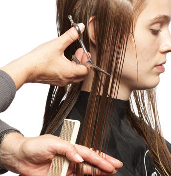 Shade and Design Cut