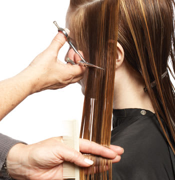 Shade and Design Cut