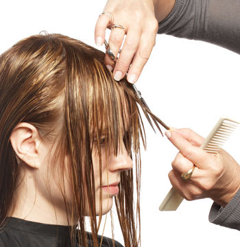 Shade and Design Cut