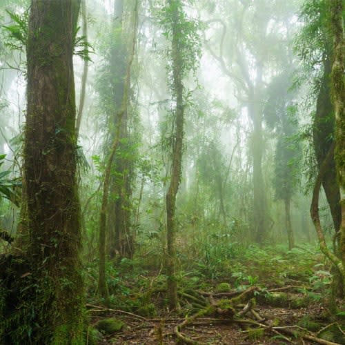 How L'Anza is Saving the Environment