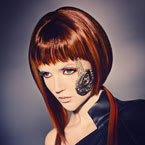 Crave Collection by Robert Bushy