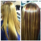 Rebekah Claybrook Collection