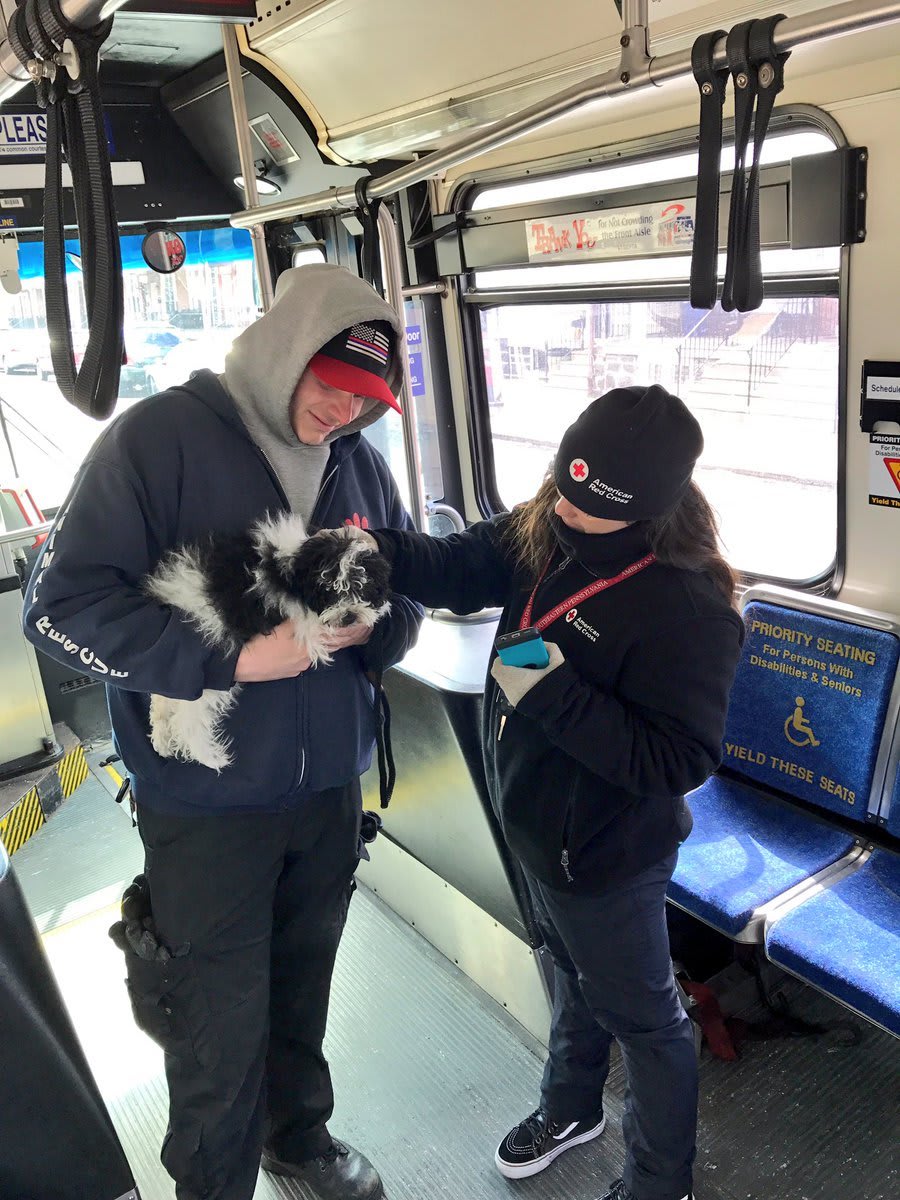 From Mobility to Emergencies: Public Transit's Role