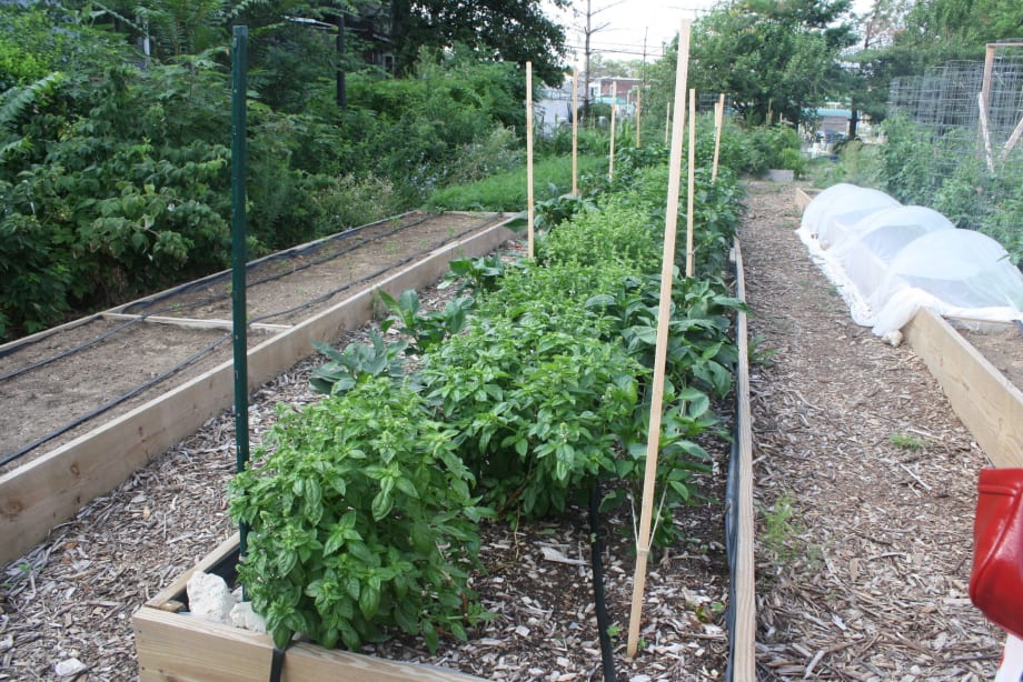 SEPTA helps community farm grow