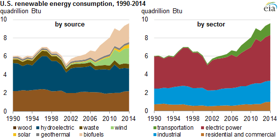Transportation Sector Driving Renewable Energy Usage
