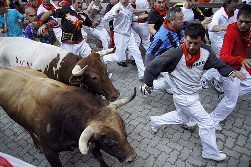 How leading adventure travel tours led me to transportation innovation