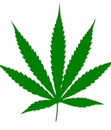 Are You Using CBD in Your Spa Services? (Maybe You Should Be)