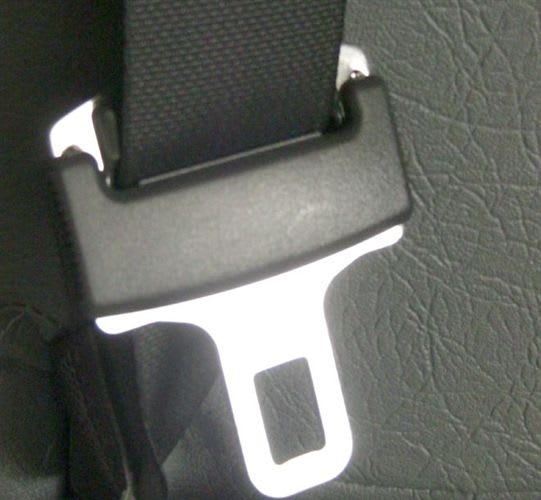 School Bus Seat Belts Catching On