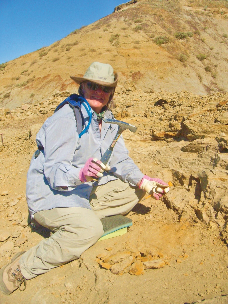 Dispatcher digs dinosaur fossils