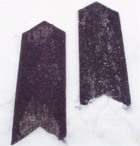 Argonaut Tire Traction Runners