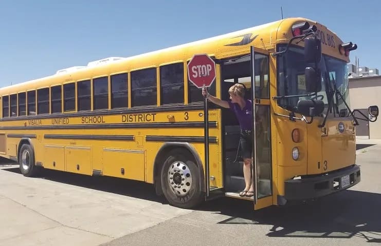 a woman holds out a stop sign from inside the loading door of a school bus