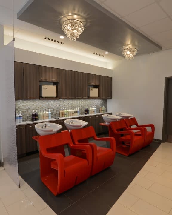 2015 NAHA FINALISTS: Salon Design