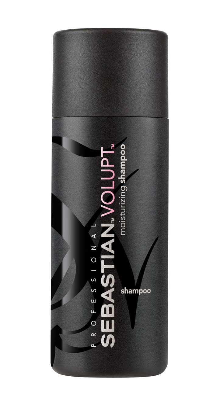 Sebastian Professional Travel Size Products