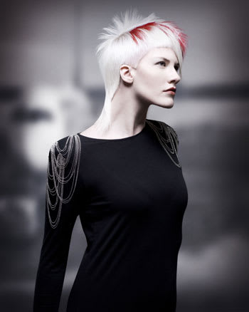 NAHA 2010 "Student Hairstylist" Finalists