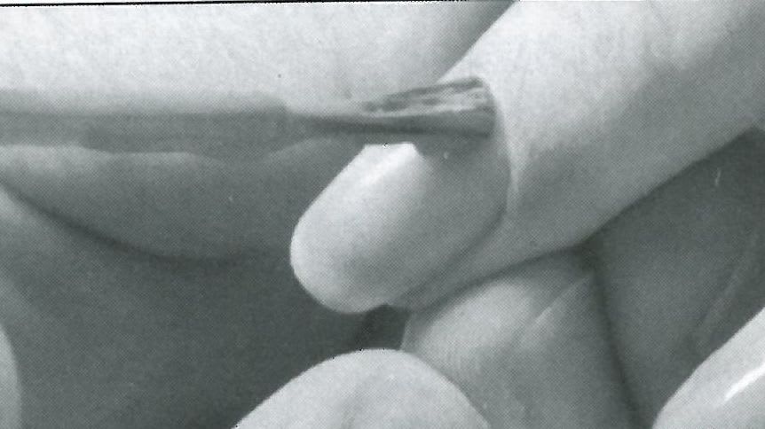 How To Polish Picture-Perfect Nails
