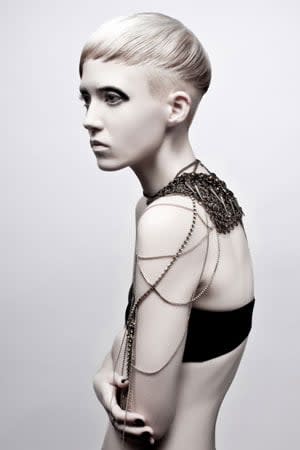 NAHA 2012 Finalists: Salon Team