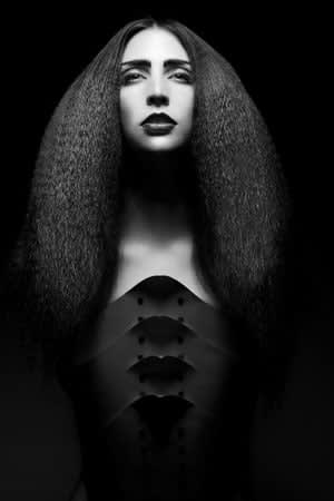 NAHA 2012 Finalists: Salon Team