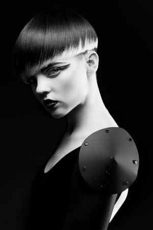 NAHA 2012 Finalists: Salon Team