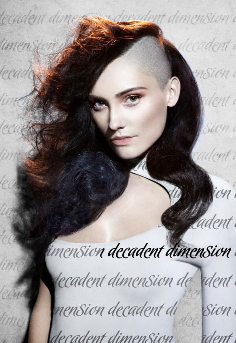 NAHA 2012 Finalists: Salon Team