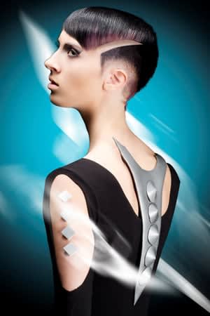 NAHA 2012 Finalists: Salon Team