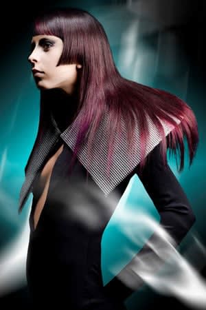 NAHA 2012 Finalists: Salon Team