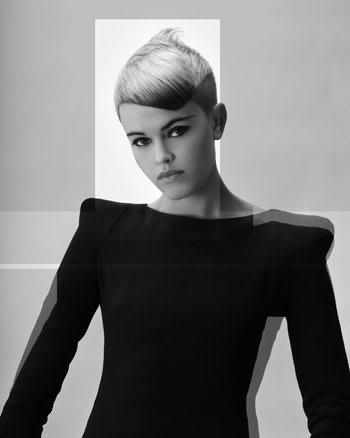 NAHA 2010 "Salon Team" Finalists