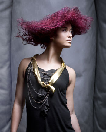 NAHA 2010 "Salon Team" Finalists