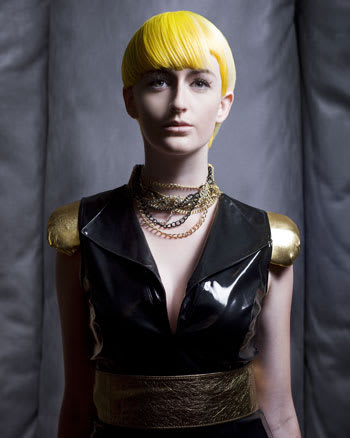 NAHA 2010 "Salon Team" Finalists