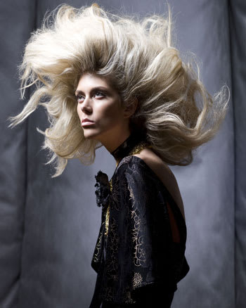 NAHA 2010 "Salon Team" Finalists