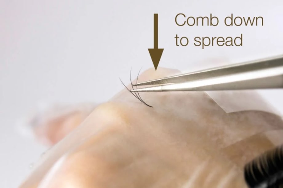 HOW-TO: Apply American Volume Eyelashes