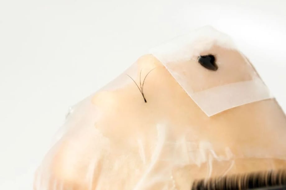 HOW-TO: Apply American Volume Eyelashes