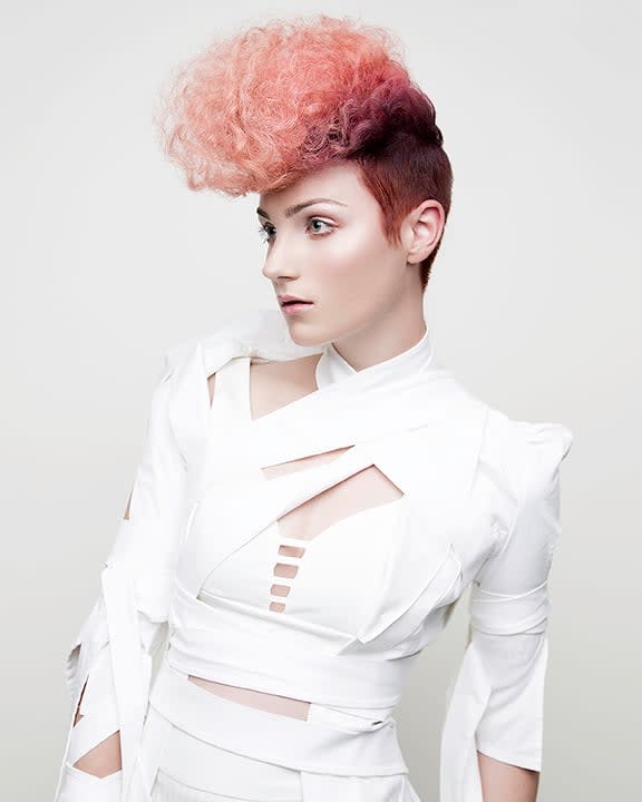 2017 NAHA FINALISTS: Student