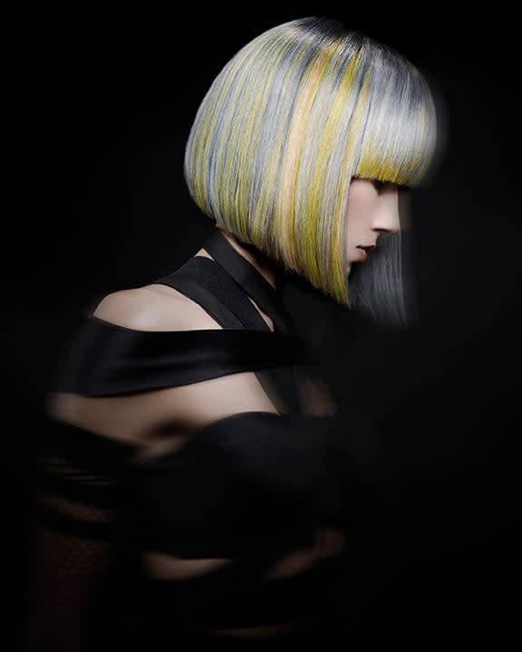 2017 NAHA FINALISTS: Student