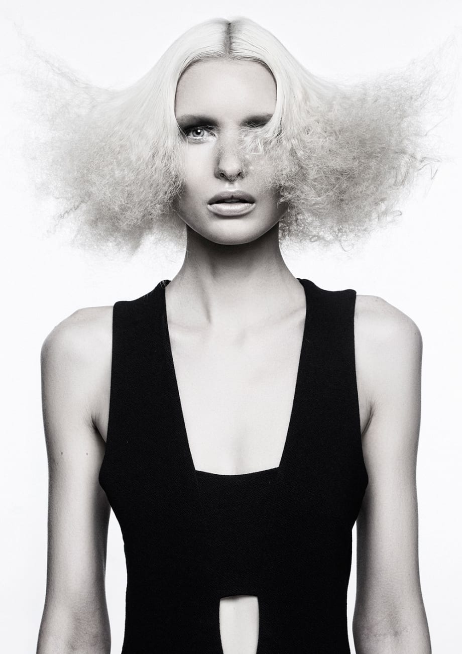 2016 NAHA FINALISTS: Salon Team