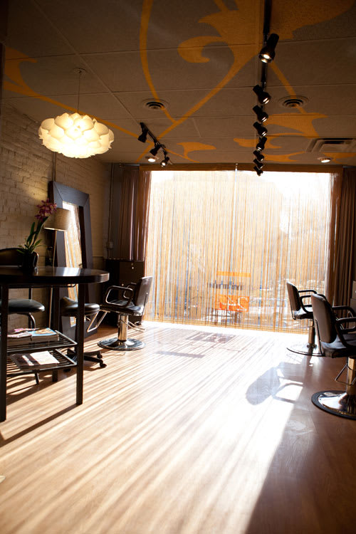 Salon of Distinction: Salon 241