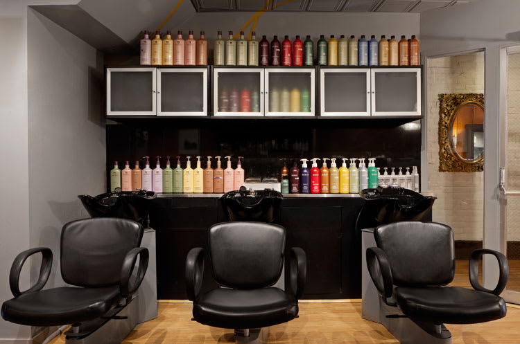 Salon of Distinction: Salon 241