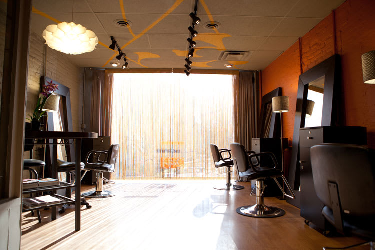 Salon of Distinction: Salon 241