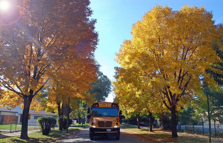 Reflecting on the Past and Giving Thanks