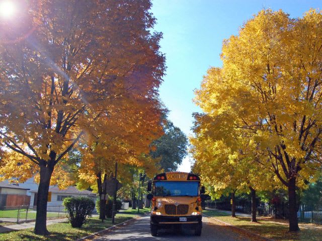 Webinar to Cover Connected School Transportation