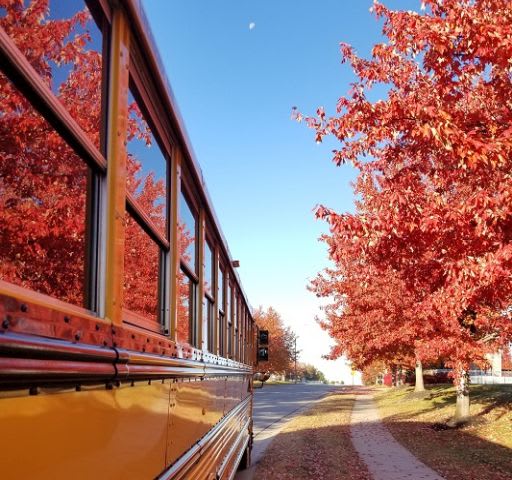 Getting a Glimpse Into the World of the Yellow Bus