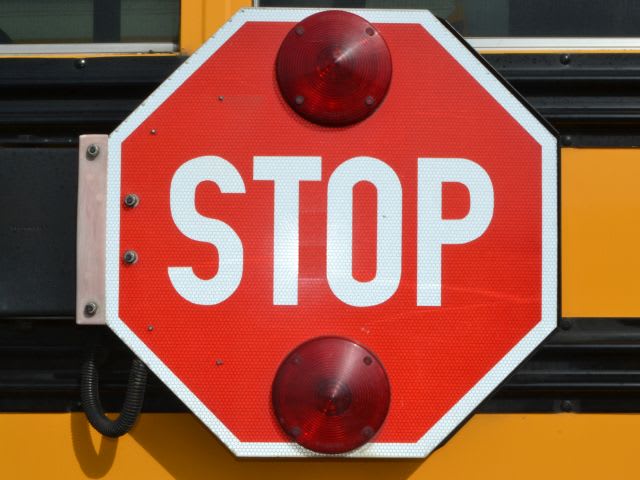 Georgia County Approves Stop-arm Camera Program