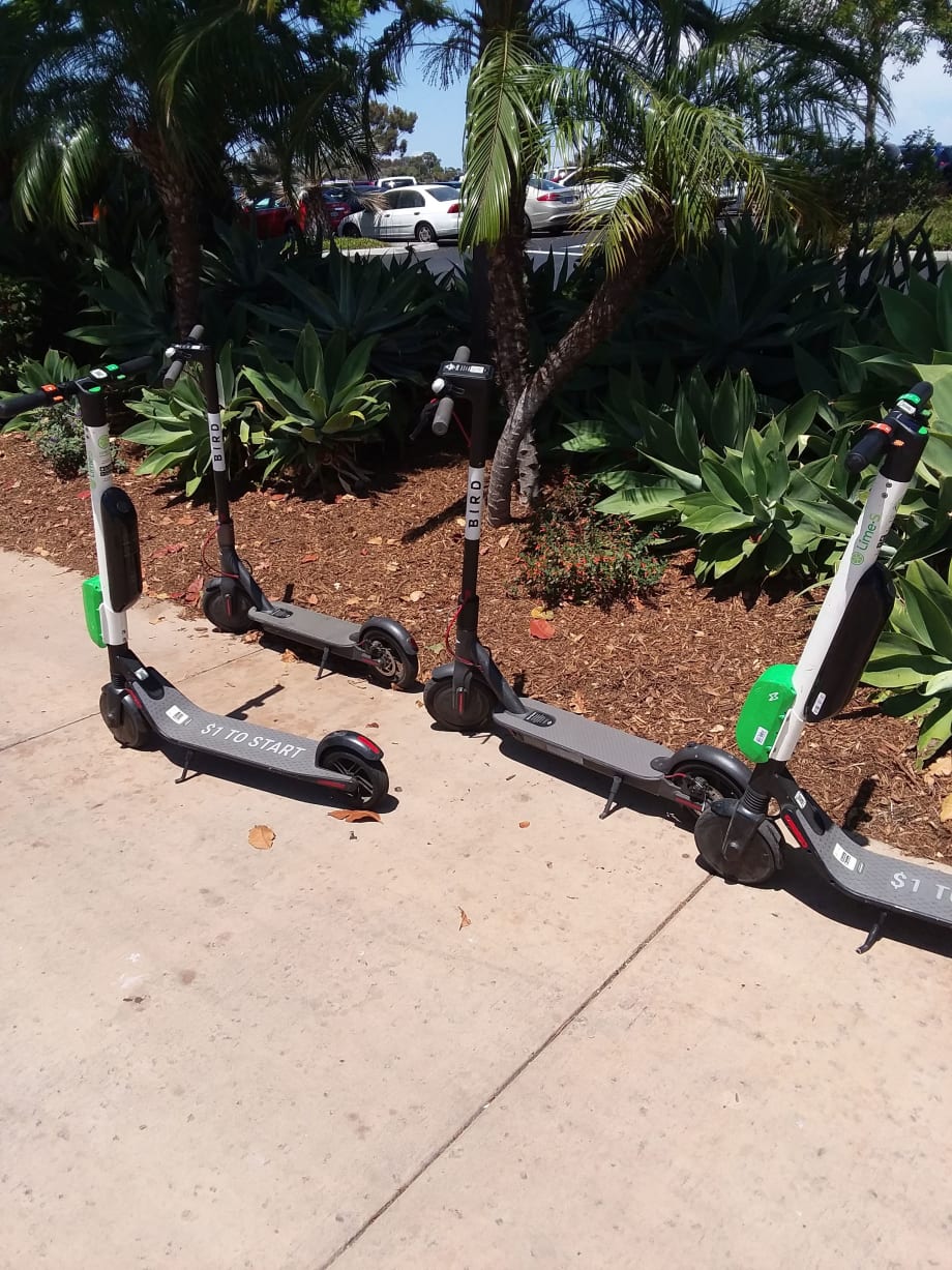 Report finds 62% of Portlanders view e-scooters positively