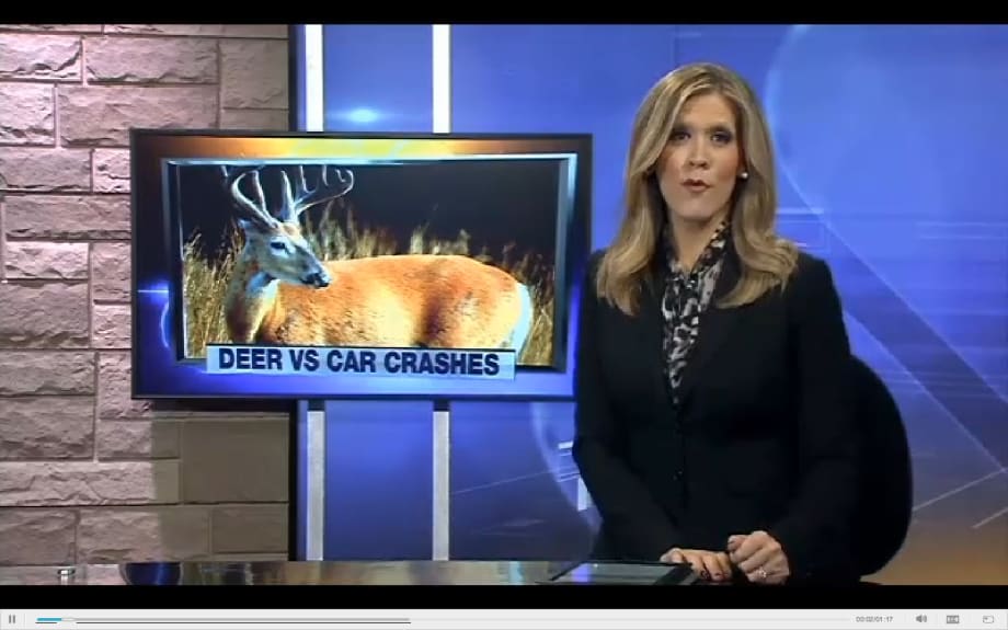 Fleet Safety Video Tip: Preventing Deer Collisions